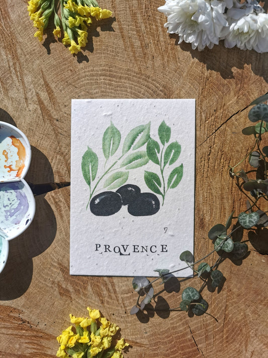 Carte postales ensemencée - Olive - Provence
