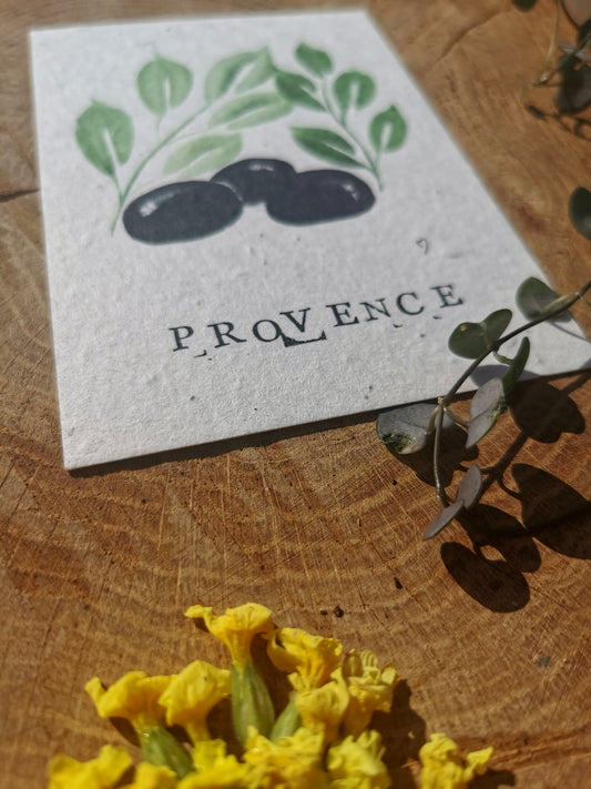 Carte postales ensemencée - Olive - Provence