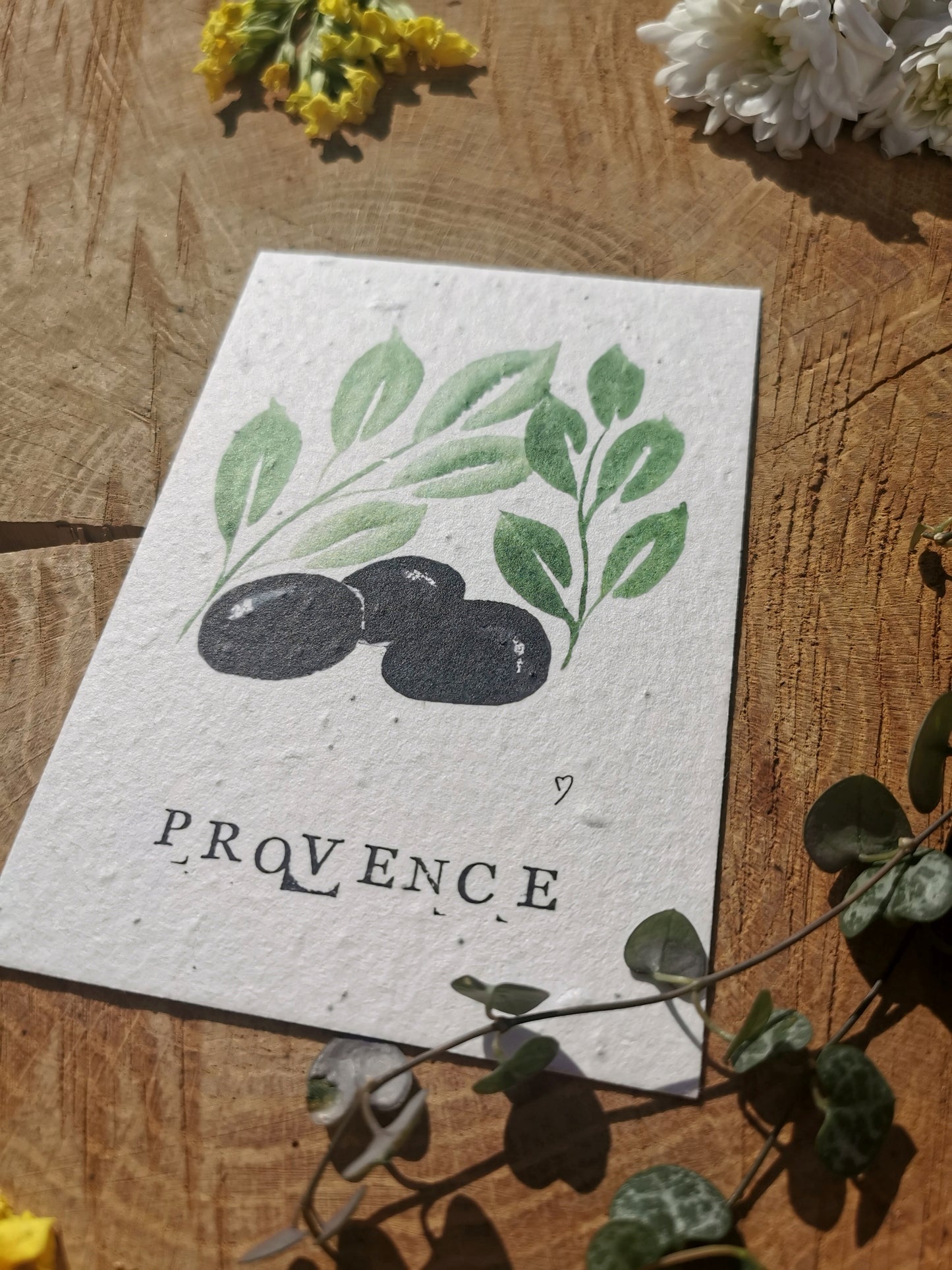 Carte postales ensemencée - Olive - Provence