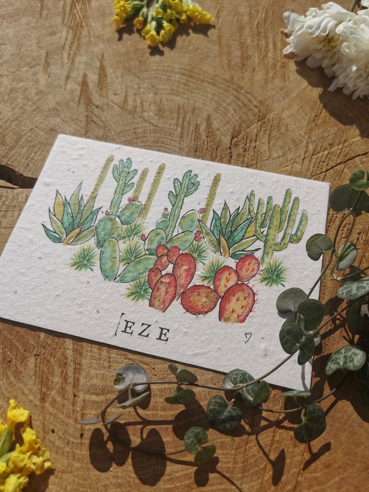 Èze - Alpes-Maritimes - Carte postale ensemencée