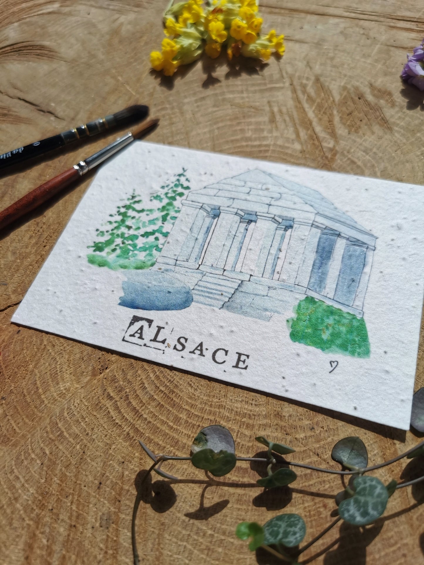 Carte ensemencée avec coordonnées GPS - Temple du Donon - Bas-Rhin