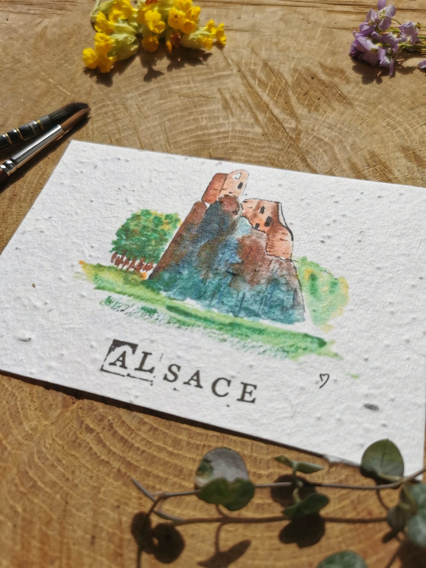 Carte ensemencée avec coordonnées GPS - Château du Girsberg - Alsace - Haut-Rhin