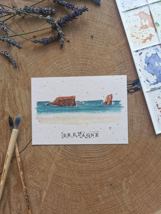 Carte postale avec coordonnées GPS - Quiberon - Morbihan