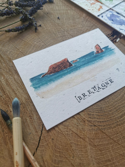 Carte postale avec coordonnées GPS - Quiberon - Morbihan