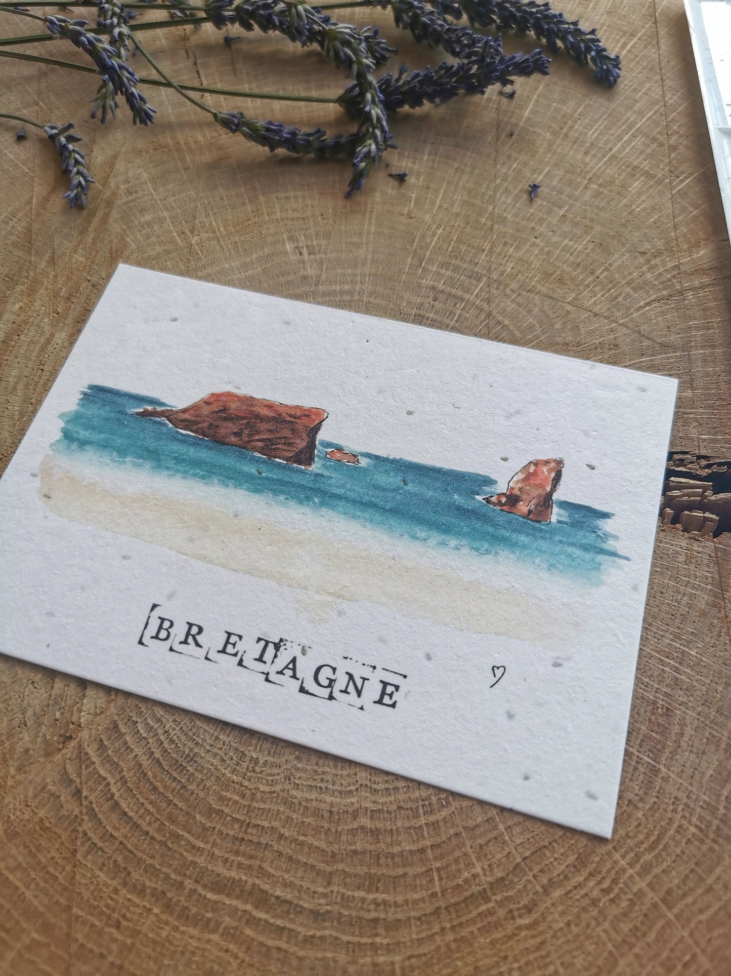 Carte postale avec coordonnées GPS - Quiberon - Morbihan