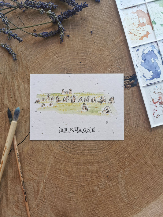 Carte ensemencée avec coordonnées GPS - Menhirs - Morbihan