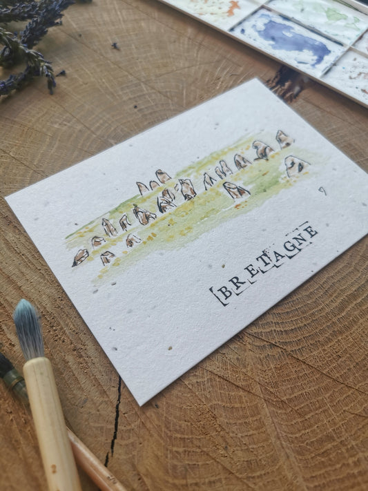 Carte ensemencée avec coordonnées GPS - Menhirs - Morbihan