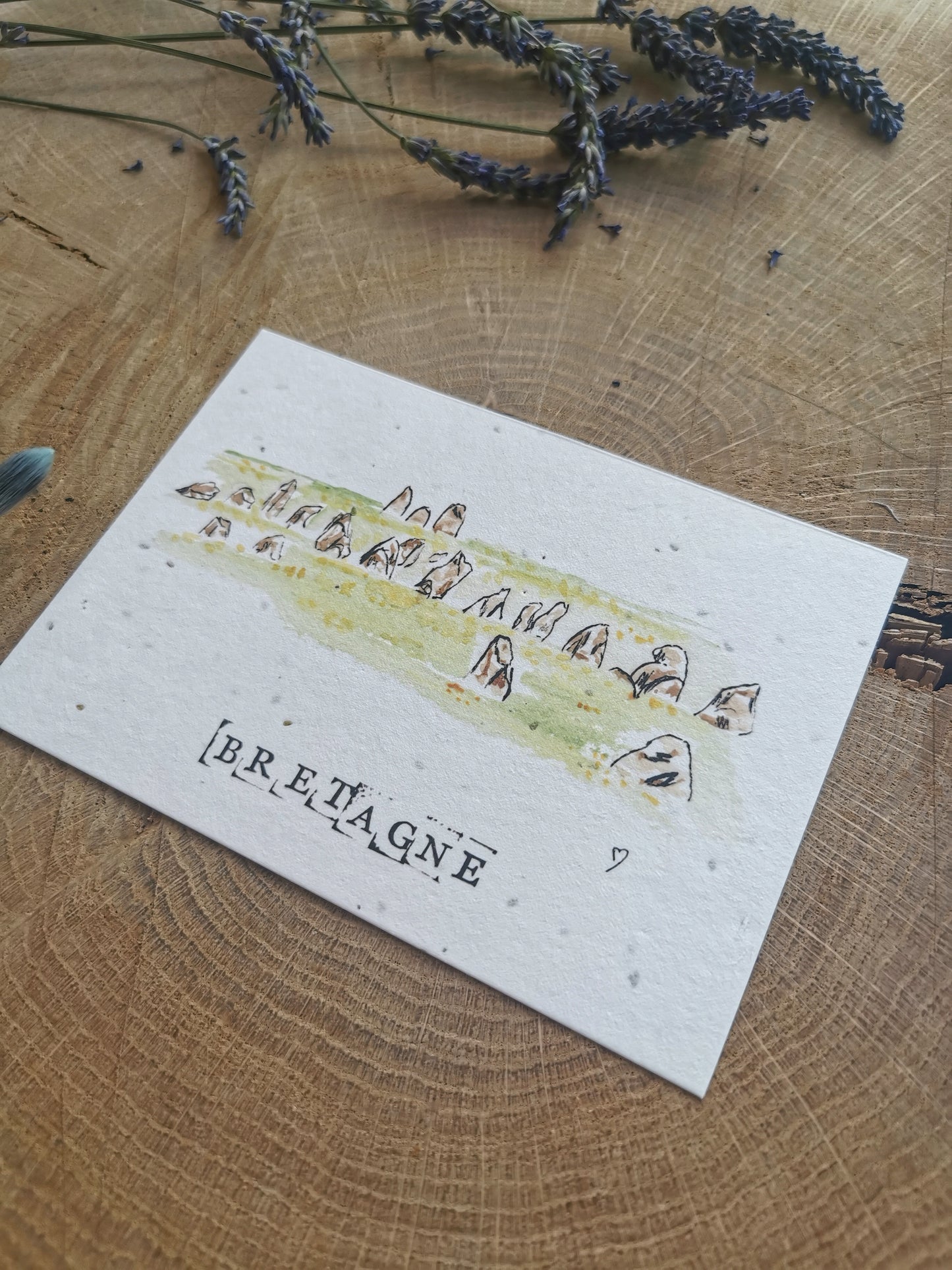 Carte ensemencée avec coordonnées GPS - Menhirs - Morbihan