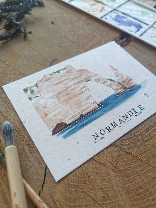 Carte ensemencée avec coordonnées GPS - Etretat - Seine-Maritime