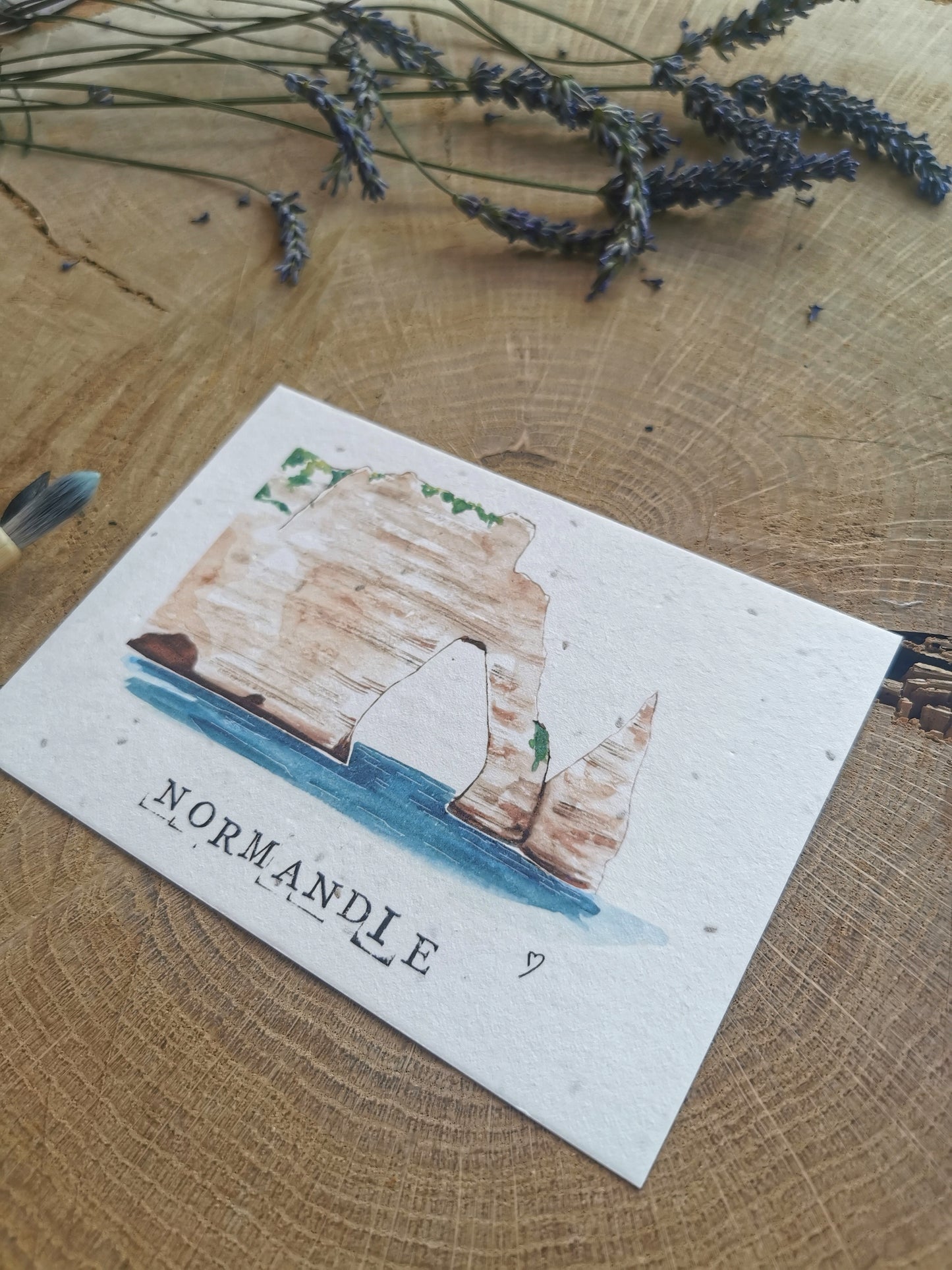 Carte ensemencée avec coordonnées GPS - Etretat - Seine-Maritime