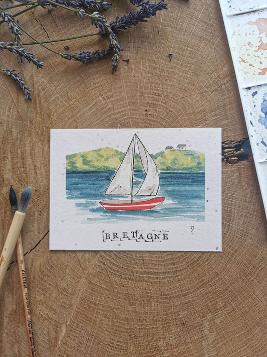 Carte ensemencée avec coordonnées GPS - Port du Crouesty - Morbihan