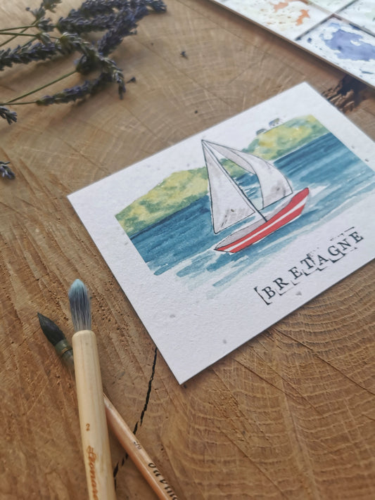 Carte ensemencée avec coordonnées GPS - Port du Crouesty - Morbihan