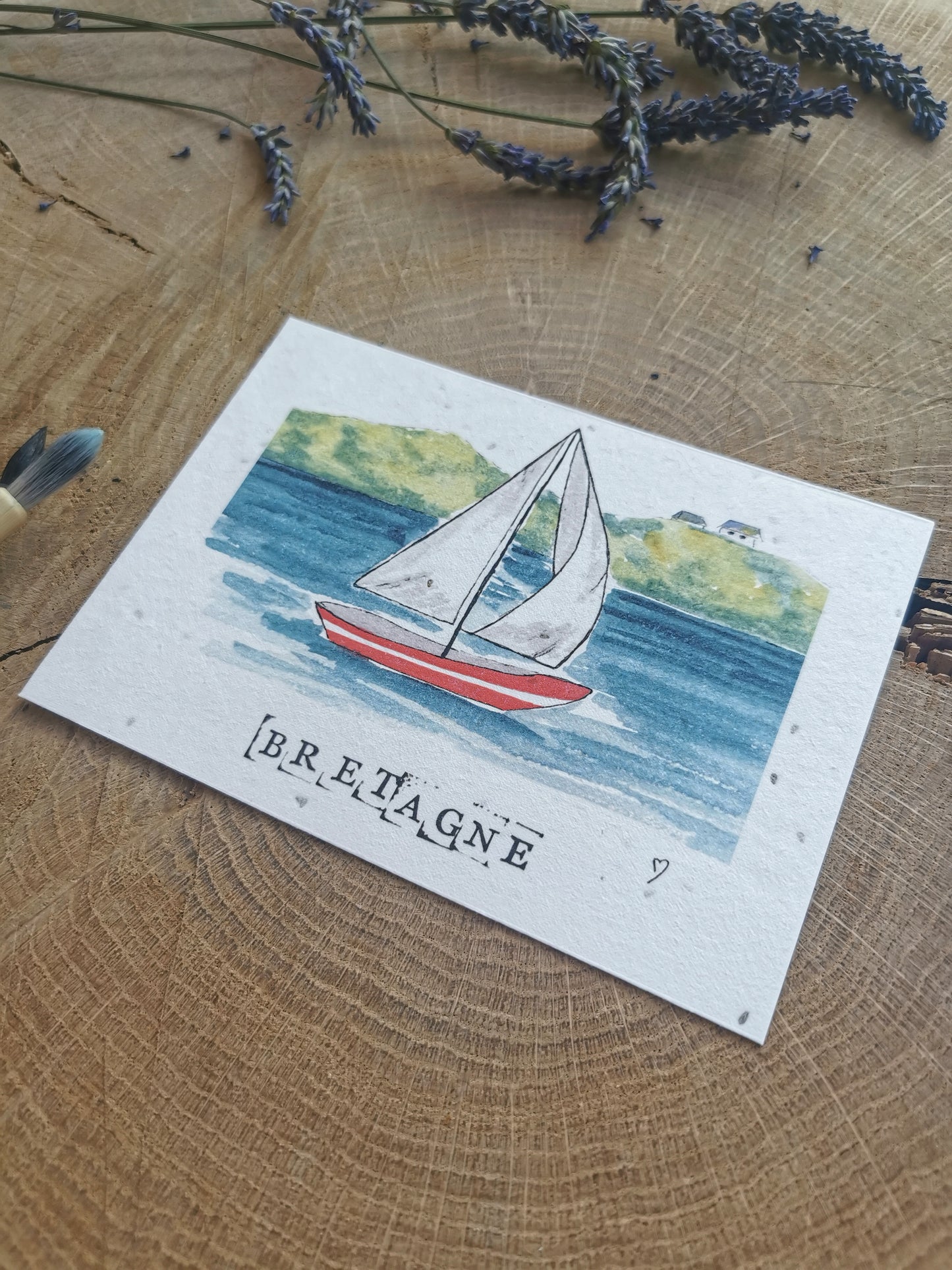 Carte ensemencée avec coordonnées GPS - Port du Crouesty - Morbihan