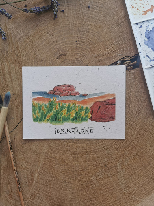 Carte ensemencée avec coordonnées GPS - Île Renote - Côtes-d'Armor