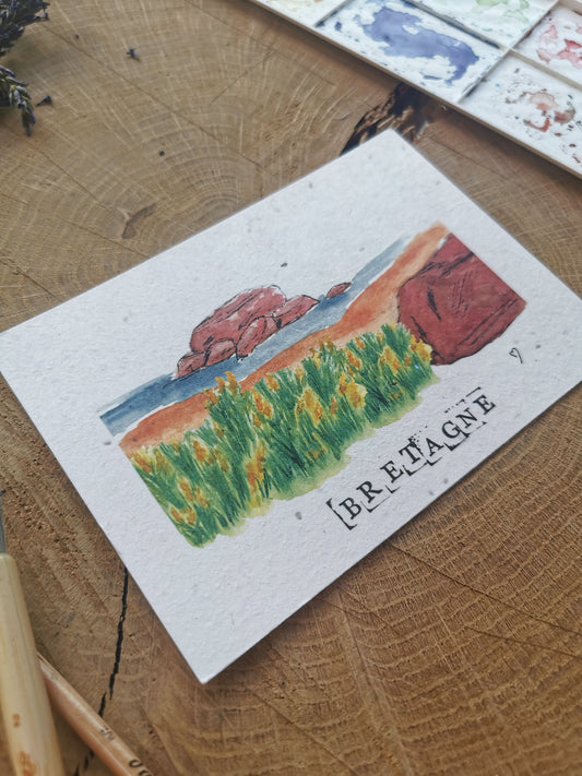 Carte ensemencée avec coordonnées GPS - Île Renote - Côtes-d'Armor