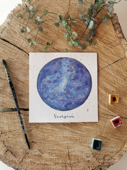 Illustration ensemencée - Constellation Scorpion