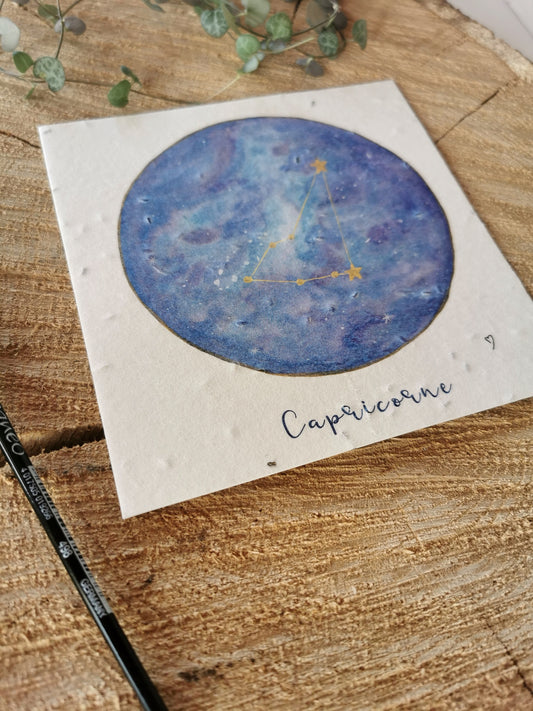 Illustration ensemencée - Constellation Capricorne