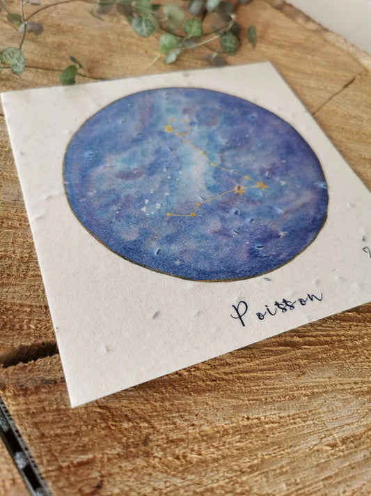 Illustration ensemencée - Constellation Poisson