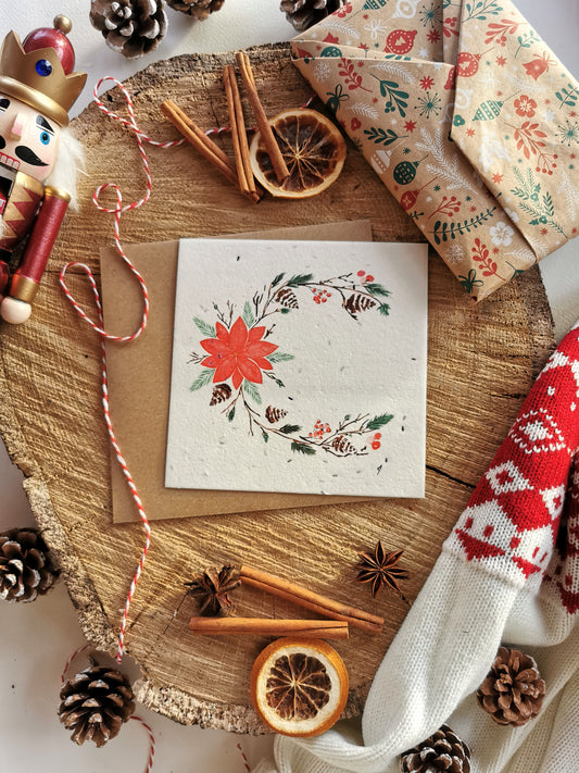 Fleur de Noël - Carte ensemencée
