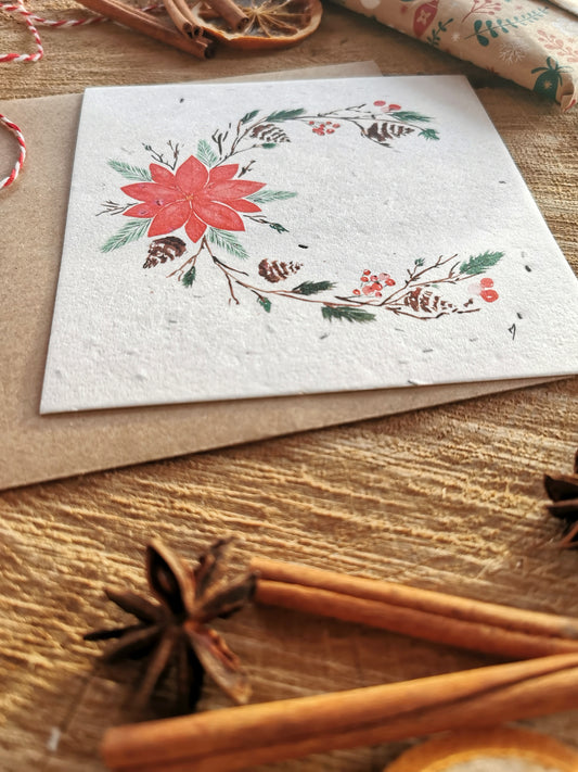 Fleur de Noël - Carte ensemencée