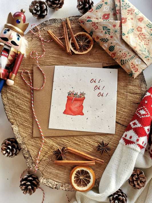 Illustration ensemencée - Hotte de Noël