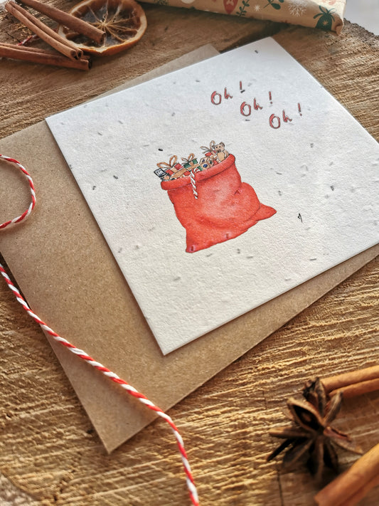 Illustration ensemencée - Hotte de Noël