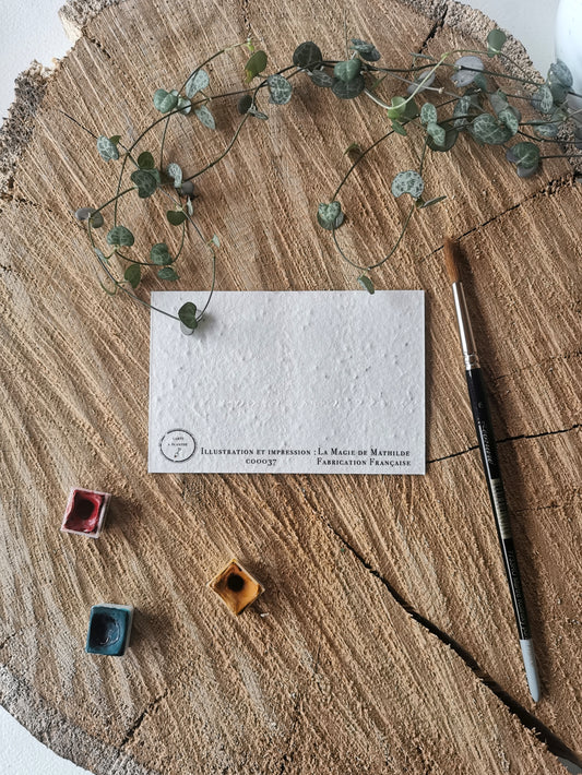 Cartes ensemencées - Remerciement - Lot de 10