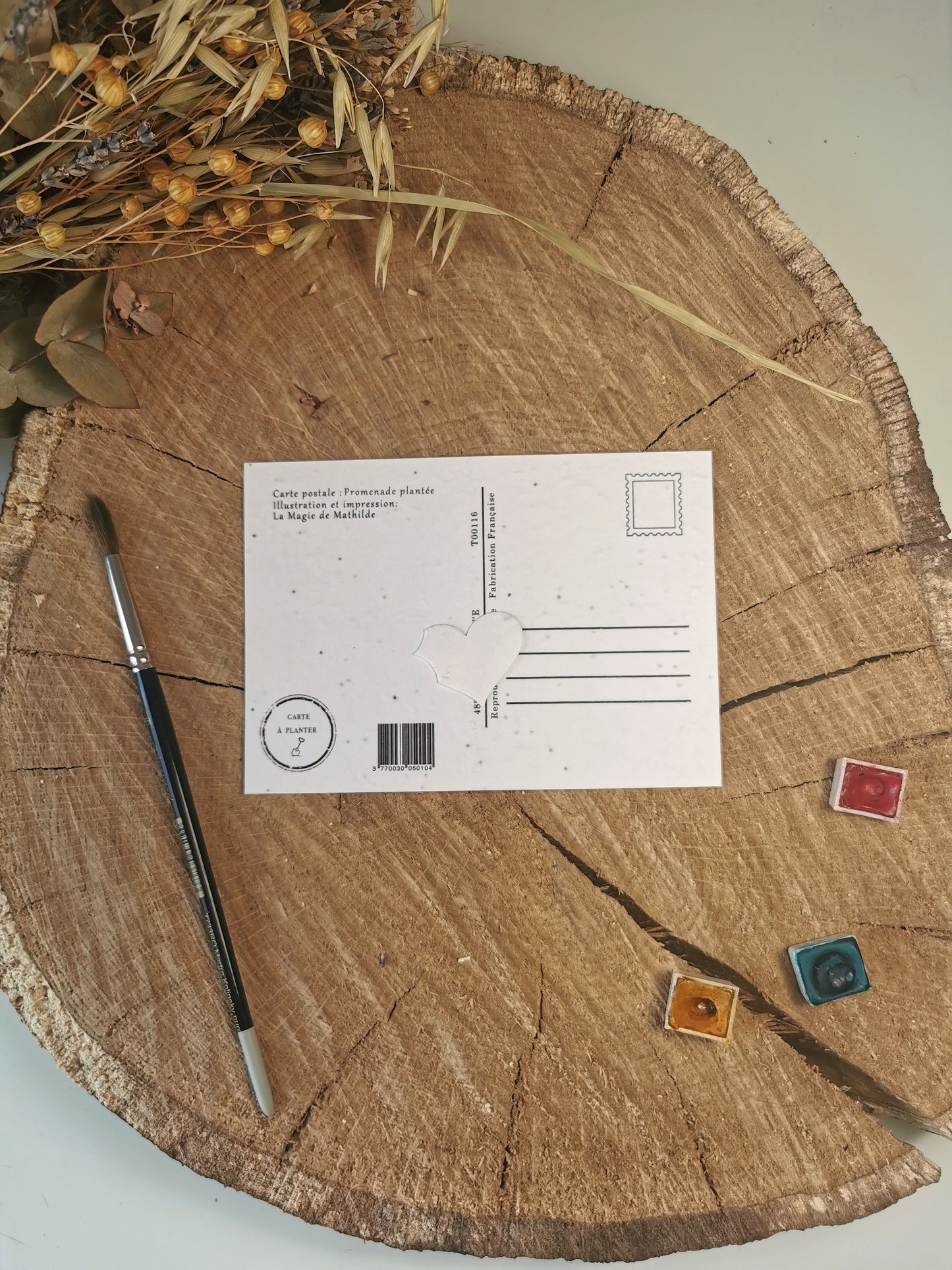 Carte ensemencée avec coordonnées GPS - Promenade plantée - Paris