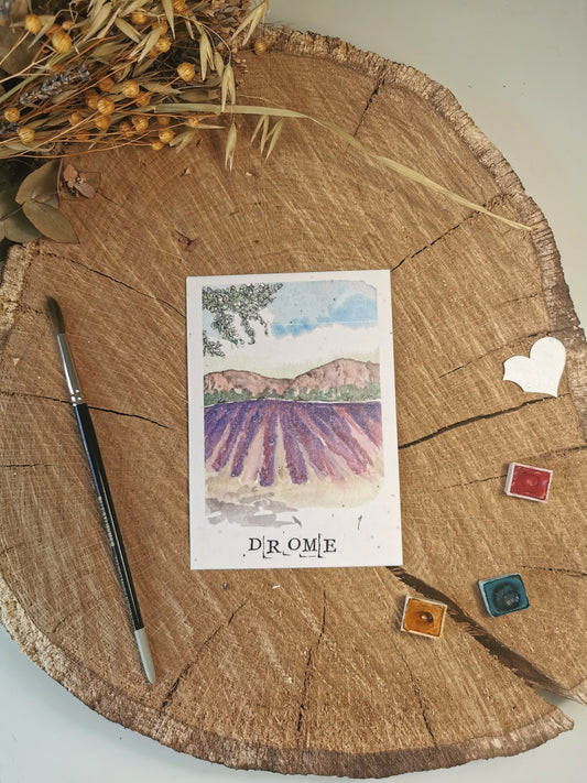 Carte ensemencée avec coordonnées GPS - Champs de lavande - Drôme