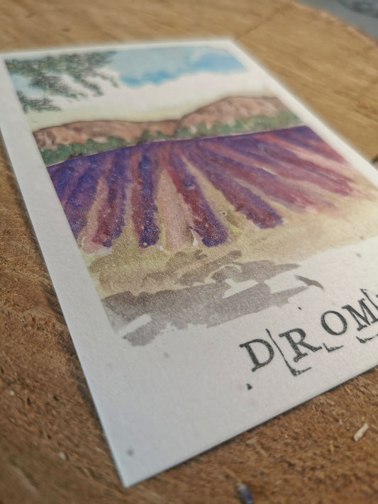 Carte ensemencée avec coordonnées GPS - Champs de lavande - Drôme