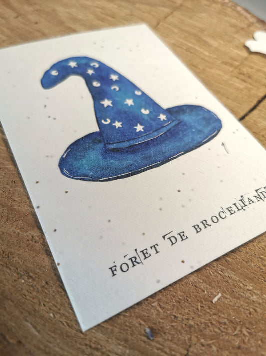 Carte postale avec coordonnées GPS - Forêt de Brocéliande - Bretagne