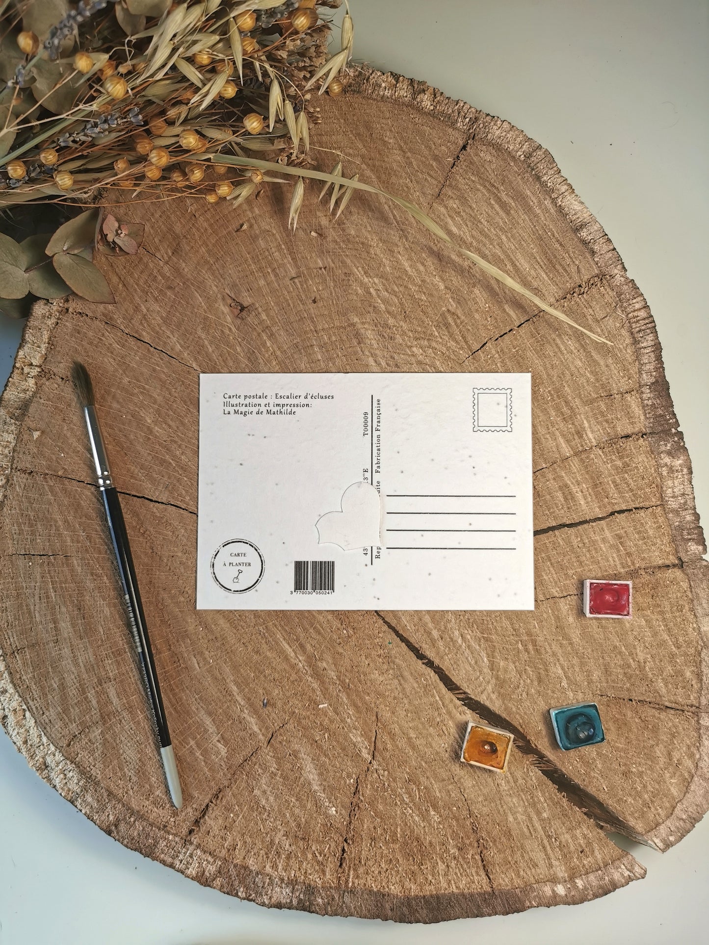 Carte ensemencée avec coordonnées GPS - Escalier d'écluses - Hérault