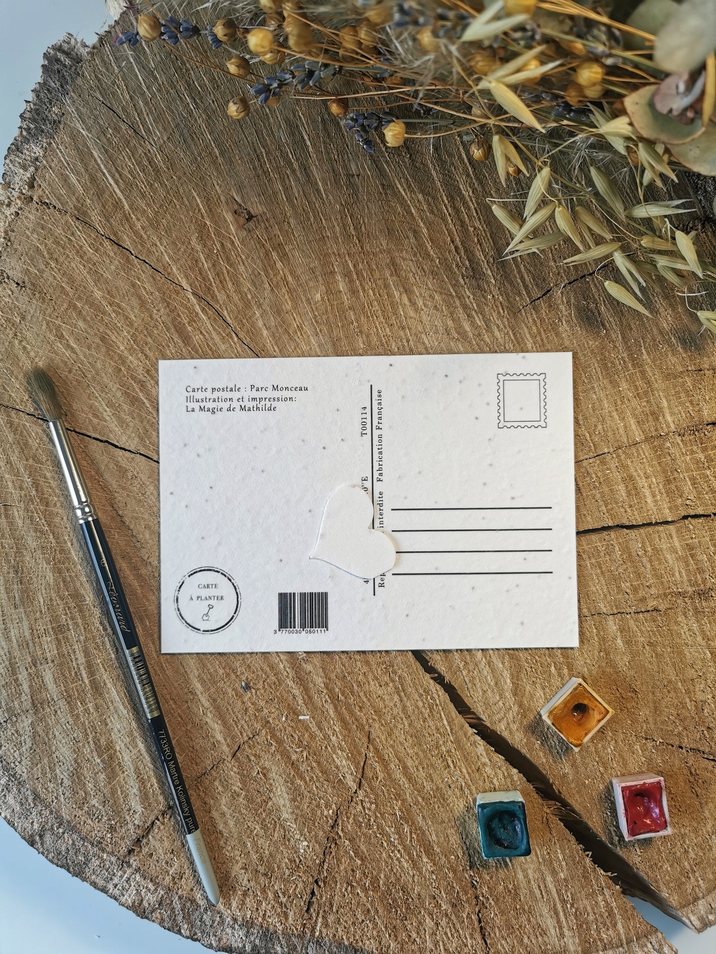 Carte ensemencée avec coordonnées GPS - Parc Monceau - Paris