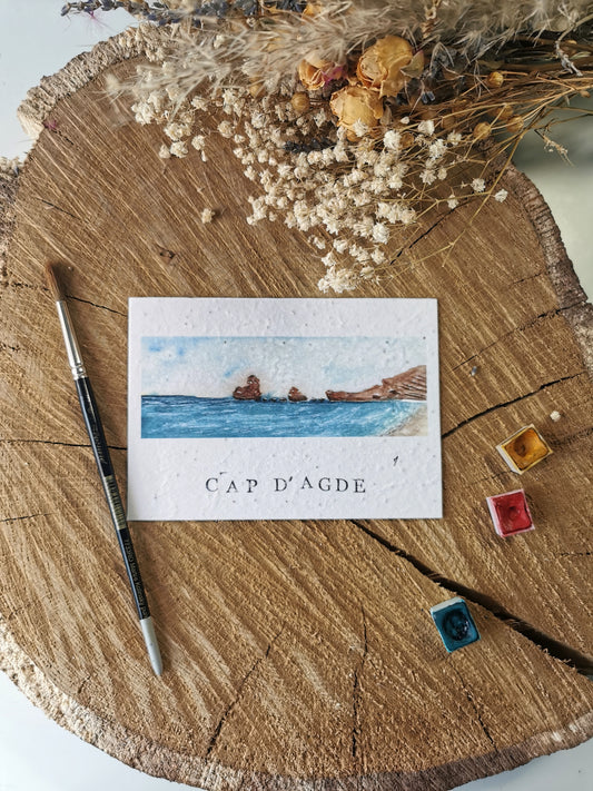 Carte ensemencée avec coordonnées GPS - Cap d'Agde - Hérault