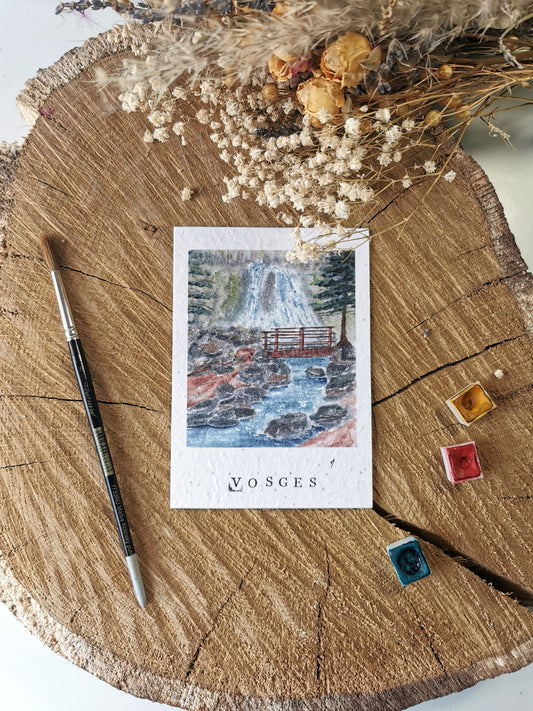 Carte ensemencée avec coordonnées GPS - Cascade de la Pissoire - Vosges