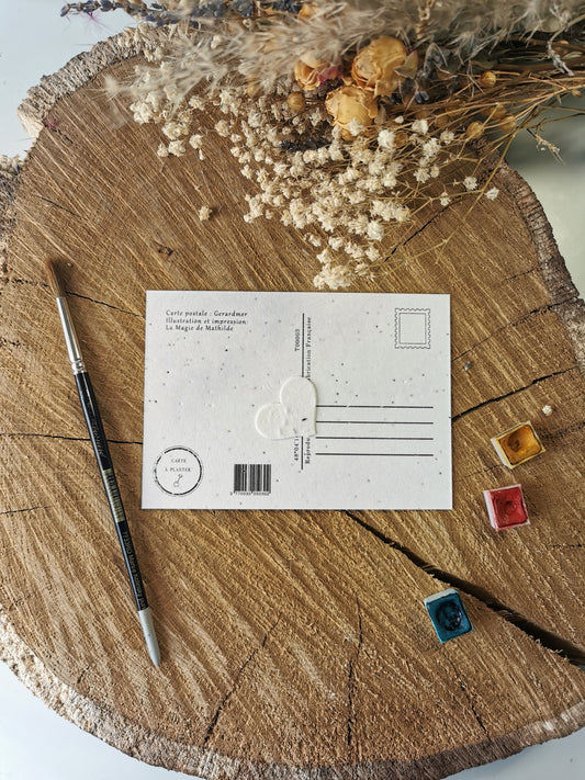 Carte ensemencée avec coordonnées GPS - Lac de Gérardmer - Vosges