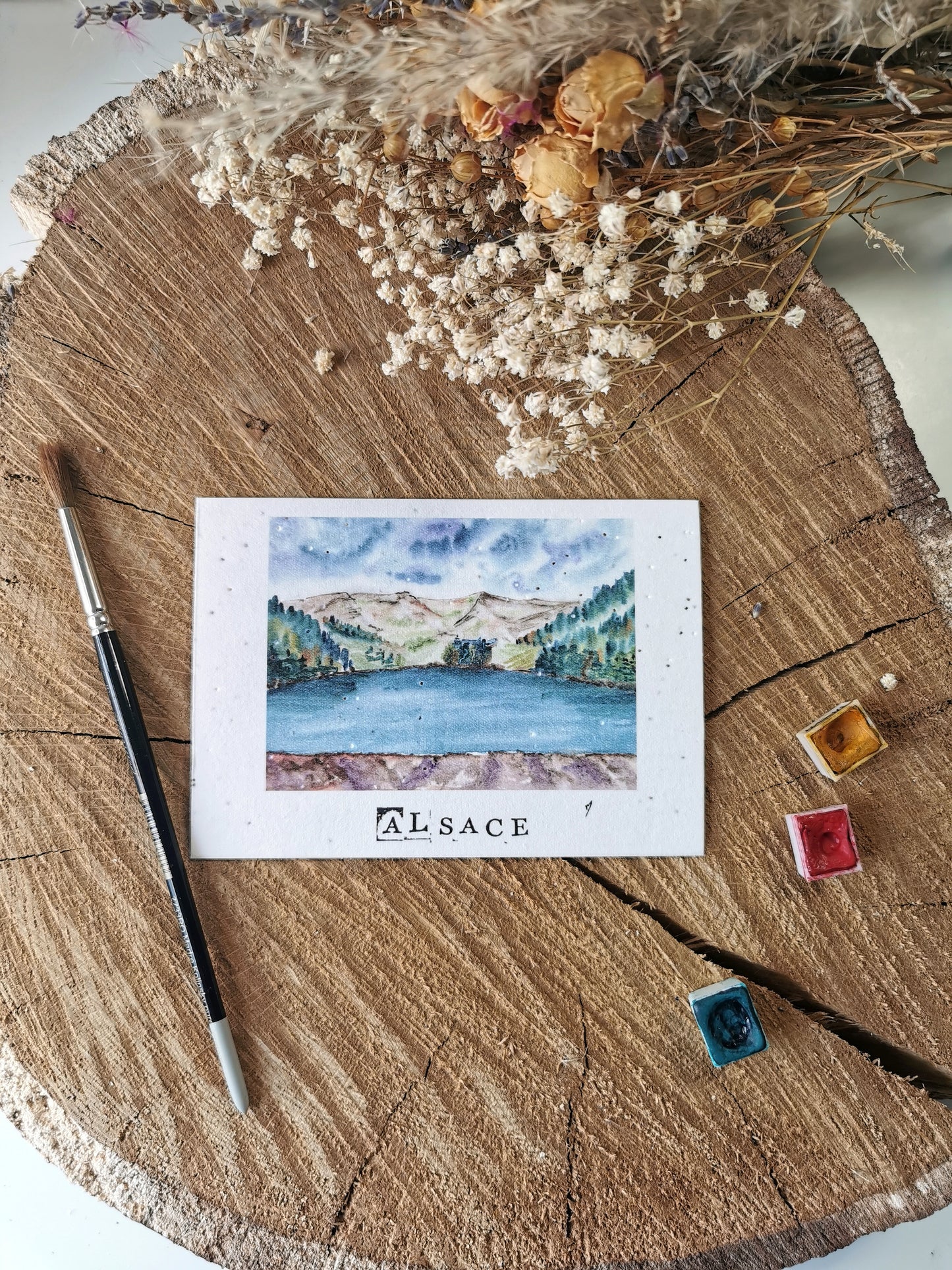 Carte ensemencée avec coordonnées GPS - Lac des Truites - Alsace - Haut-Rhin