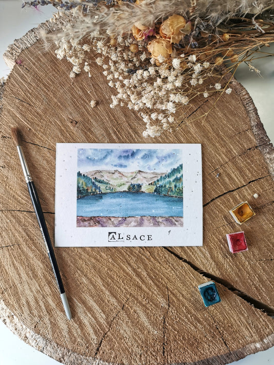 Carte ensemencée avec coordonnées GPS - Lac des Truites - Alsace - Haut-Rhin