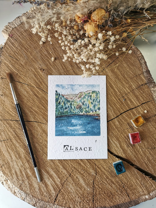 Carte ensemencée avec coordonnées GPS - Lac du Schiessrothried - Haut-Rhin