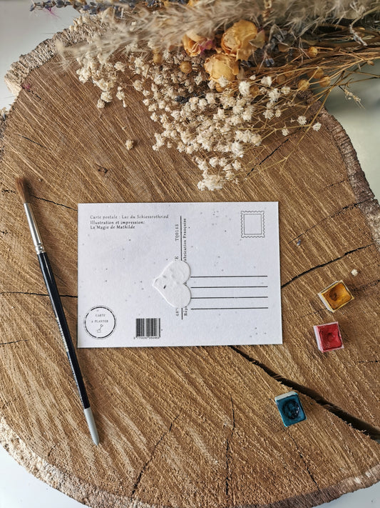 Carte ensemencée avec coordonnées GPS - Lac du Schiessrothried - Haut-Rhin