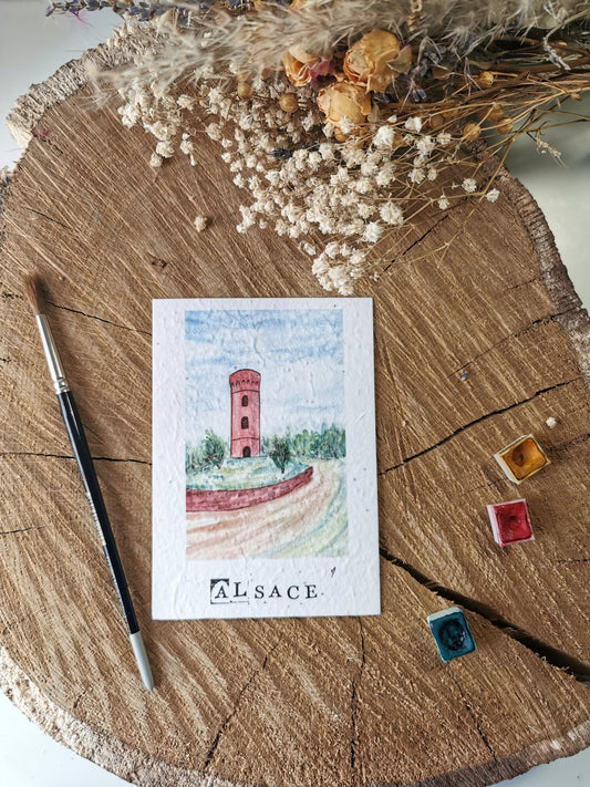 Carte ensemencée avec coordonnées GPS - Tour Faudé - Alsace - Haut-Rhin