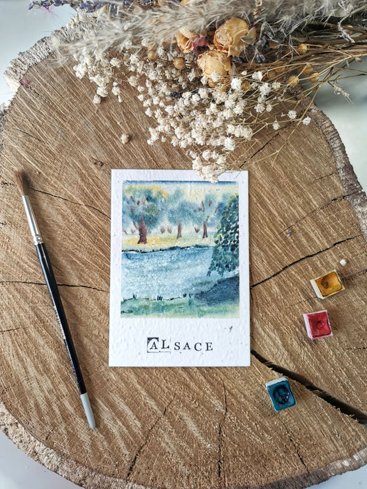 Carte ensemencée avec coordonnées GPS - Parc de l'Orangerie - Strasbourg