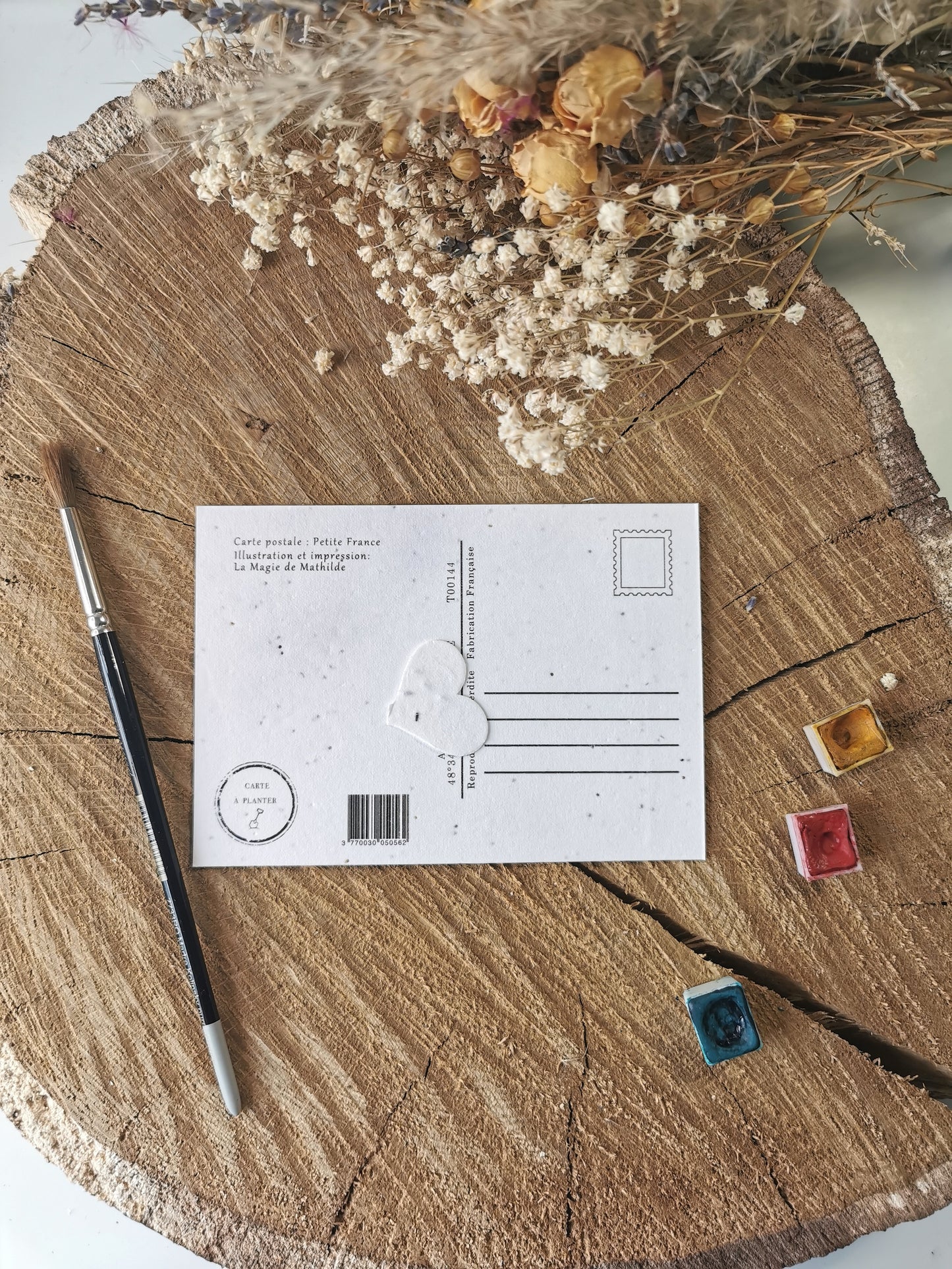 Carte ensemencée avec coordonnées GPS - Petite France - Strasbourg