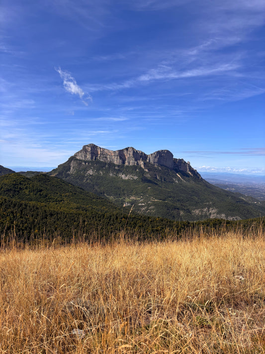 La Drôme : souvenirs au cœur d’une nature inspirante
