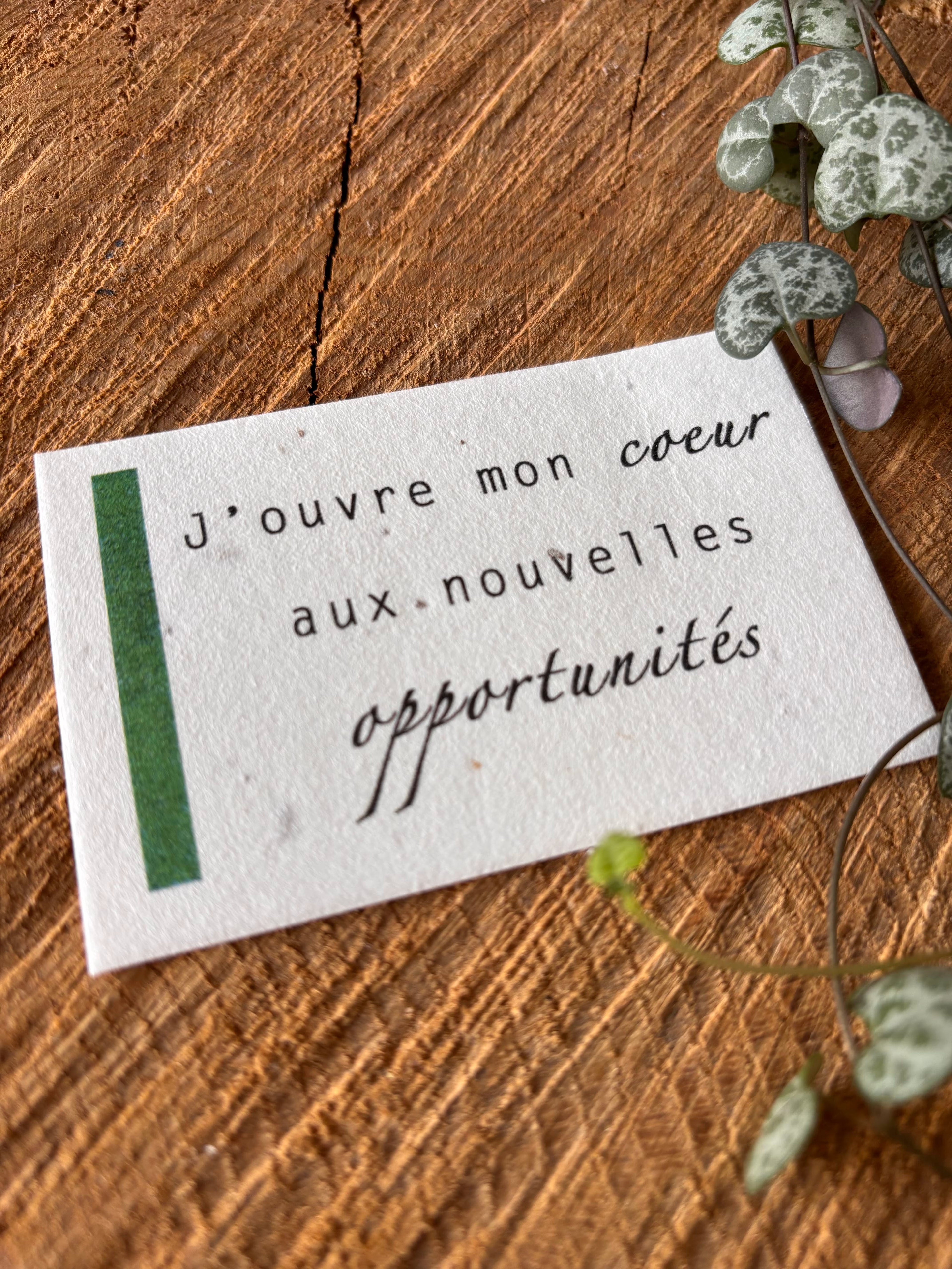 Affirmation positives à regarder fleurir - Alignement des Chakra