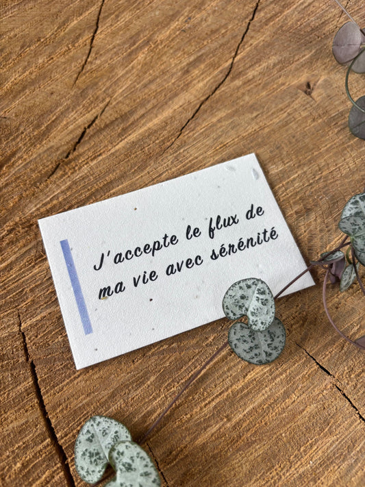 J'accepte le flux de ma vie avec sérénité - 5,5x8,5cm - Chakra 3ème oeil - Carte ensemencée