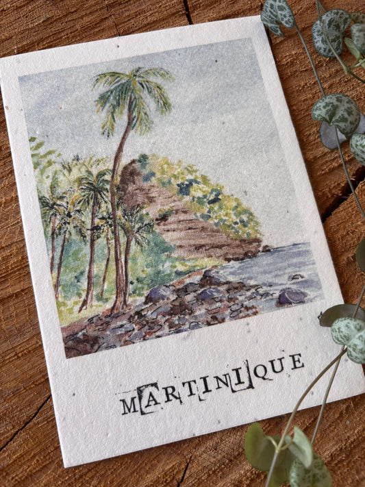 Anse couleuvre - Martinique - Carte aquarelle - 10,5x14,8cm