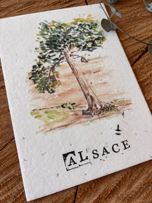 Château du Landsberg - Alsace - Carte aquarelle - 10,5x14,8cm