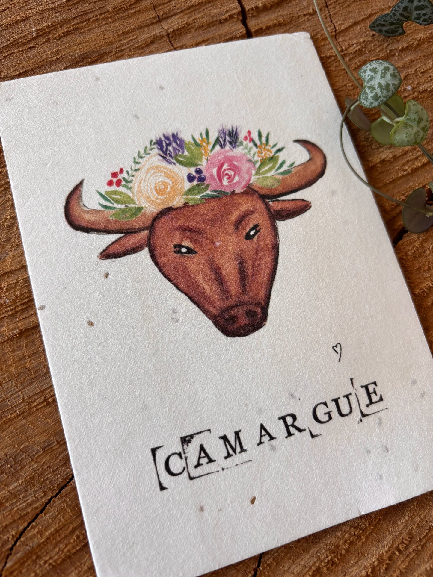 Taureau - Camargue - Carte aquarelle - 10,5x14,8cm