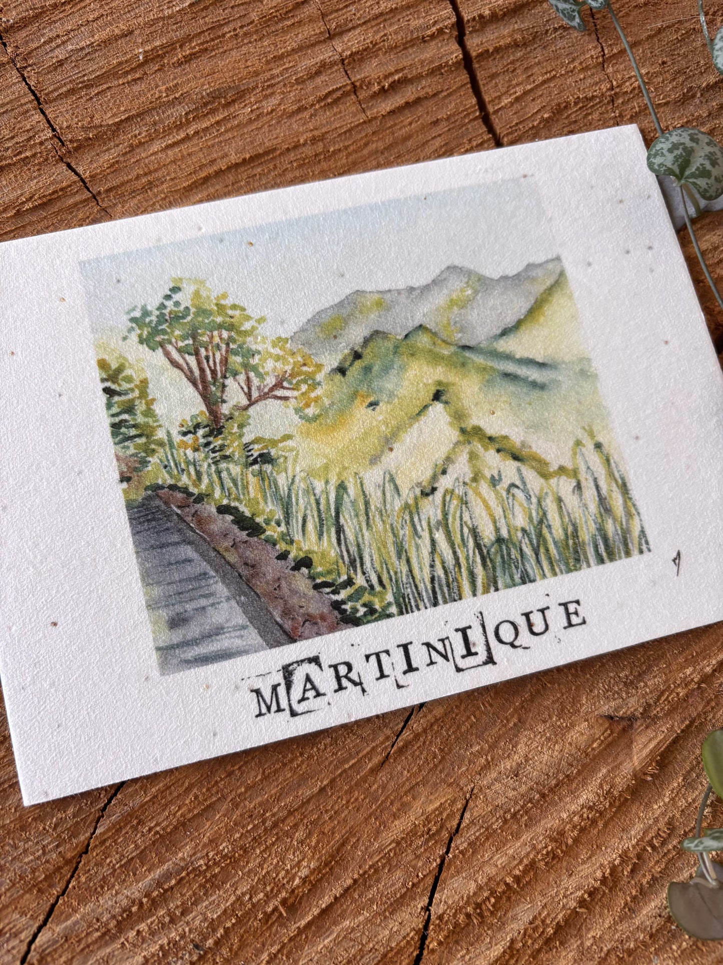 Canal des esclaves - Martinique - Carte aquarelle - 10,5x14,8cm